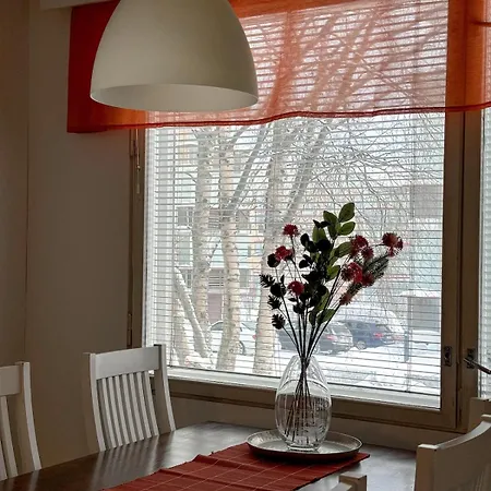 Apartman Uittomies Rovaniemi